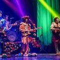 The Beatles legend - קונצרט מחווה חי וגרנדיוזי ללהקת הביטלס האגדית בישראל!