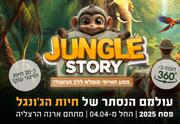Jungle story – Увлекательное путешествие в самое сердце джунглей!