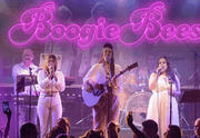 BoogieBees - Bee Gees Tribute